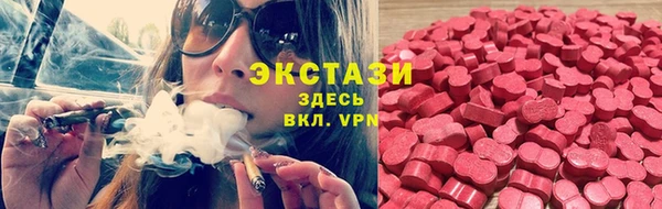 apvp Аркадак
